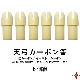 弓道 天弓カーボン筈 天弓筈 カーボン 天弓 筈 75 80 6個組 矢 てんきゅう はず 6個 セット 匠カーボン イーストンカーボン Mizuno WENEW ハヤブサカーボン 雷槌カーボン Hazu 弓具 弓道具 弓道用品 【ネコポス対象】N-042