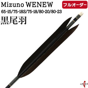 �|�� �� �t���I�[�_�[���� Mizuno WENEW �����H 6�{�g �I�ׂ�F�V���t�g�T�C�Y 65-15 / 75-18S / 75-18 / 80-20 / 80-23 �A�a�������A������ �~�Y�m �E�B�j���[ �J�[�{���� �J�[�{�� �t���I�[�_�[�� �|�� �y
