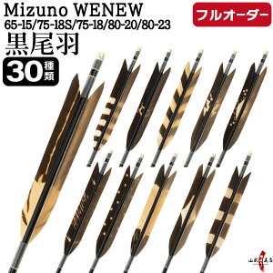�|�� �� �t���I�[�_�[���� Mizuno WENEW �����H ������ 6�{�g �I�ׂ�F�T�C�Y( 65-15 / 75-18S / 75-18 / 80-20 / 80-23 )�A�H��(30��)�A �a�������A������ �~�Y�m �E�B�j���[ �J�[�{���� �t���I�[�_�[�� �|�� 