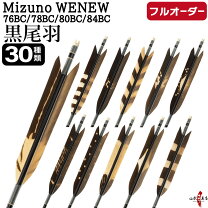 楽天市場】ミズノ バンブー カーボン 矢の通販