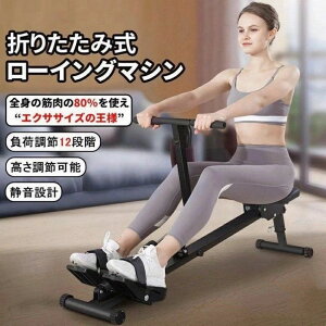 ローイングマシーン ボート漕ぎ運動マシーン 12段階負荷調節 筋トレ 有酸素運動 健康器具 トレーニング 組立簡単 静音 運動マシン ダイ