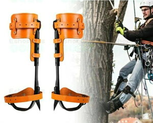 ؓo蓹 oRp̌C  ؓo ɓoRXpCN ʕI ړI 304XeX| ގ ϗp ȊwfUC ω׏d |[^u