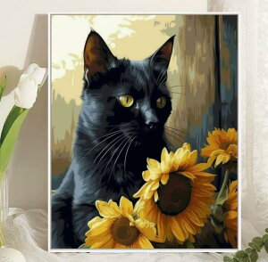 ���G �G�� �C���e���A ���G �Z�b�g ���G�� �Ǌ|�� ���p�i ���� �h��G ��l�� �h��G �h��G �L�b�g �Z�b�g ���i�� DIY�G