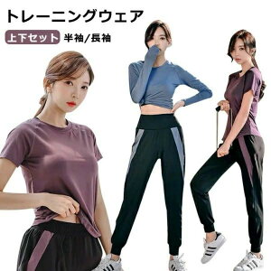 g[jOEFA fB[X ㉺Zbg / 2_Zbg X|[cEFA z ʋC _CGbg WEFA ZbgAbv 