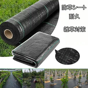 �h���V�[�g �����V�[�g �G���h�~�V�[�g �G���V�[�g �ڂ������V�[�g �G���h�~ 1m 10m 20m 50m 100m �G���΍� �s�D�z ������ ���� ���i��