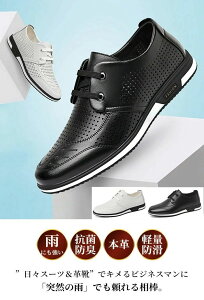  rWlXV[Y Y EH[LO L ɂ U[ vC amC YV[Y RC h\[   傫TC