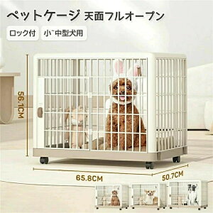  L ی Q[W T[N LX^[t pJo[t KтȂvX`bN bNXP[W  T[N ybgP[W