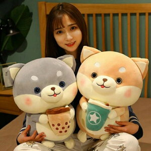 20cm ʂ q  Č ^sIJ   킢 ޏ ӂӂŖ  NbV CeA _炩