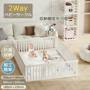 _SALE^P5{jR[ ܂܂ eB[Zbg t^k[eB[  eB[|bg  َq LfB[ V