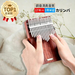 KiLingTing LT-K17A 17L[JorTsAmiɎXj