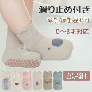 xr[ C ~ߕt 5Zbg xr[\bNX Aj} 킢 ԂC  ۈ牀   KC