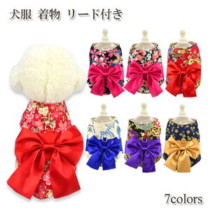   [ht OhbO  ЂȍՂ RXv ߑ m   ^ ^  j ꒅ o RX`[  |GXe bh u[ p[v