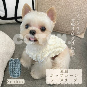   m[X[u ^Ngbv |bvR[ ĕ t ʋC    t ^ I[V[Y   o U  Lk