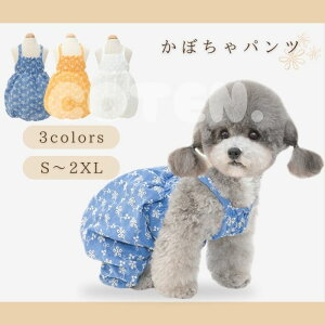   ڂpc ӂ pc Tybg ԕ L~\[ Jbg\[ ĕ t m[X[u  ₷ ₷ hbOEFA COTEN