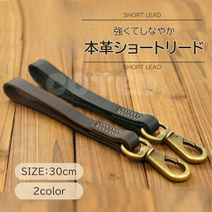 y̔LOZ[23501980z V[g[h {v v v i Z [h P g[jO U ^ ^  v 30cm Ȃ₩ S   p ybg COTEN