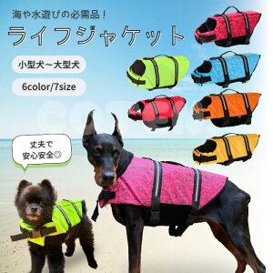  CtWPbg ~  ^ ^ ^ v S S ybgp p  C V COTEN