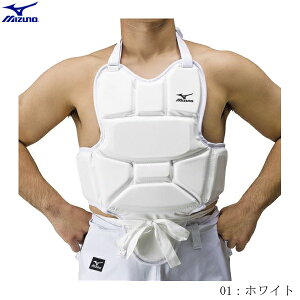 MIZUNO@~Ym@@veN^[@SEp@S{蓹Ai@C^[nCAZIgp@Ci[^Cv@23jha70601@2305ai