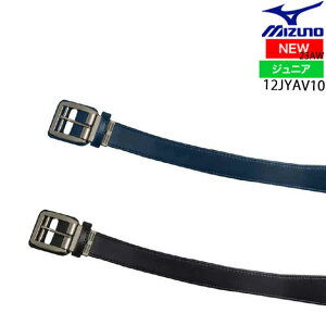 yVz~Ym MIZUNO p[xgST(X[X)(싅^WjA) ubN lCr[ N싅 qp ANZT[ 12JYAV1012JY5V10pi 23AW (2403am)