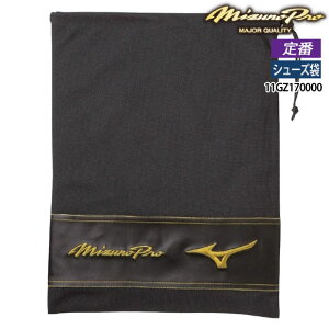 yhJzoׁy[֑z~Ymv MIZUNOPRO 싅 V[Y XpCN [ V[YP[X Ou O[u }` c42cm×32cm 1 ubN  11GZ170000 2