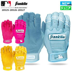 �y�X�[�p�[�Z�[���J�n4���Ԍ���I�S�i5���N�[�|���z �y������h�J�z �t�����N���� Franklin �o�b�e�B���O�O���[�u CFX PRO HI-LITE ����p CFX�v���n�C���C�g �싅 �W���j�A ���N�p �o�b�e�B���O