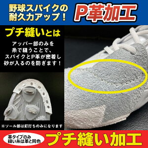 ynƍՊJÒzyDPvHzxg 싅p XpCN⋭H {vBłv`DtmBł XpCNی Pvt v`Dn vXpCN XpCN |CgXp