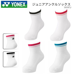 y2_܂Ń[OKzlbNX YONEX WjAAN\bNX p^ RۖhL pC 19197J [񂹏i]