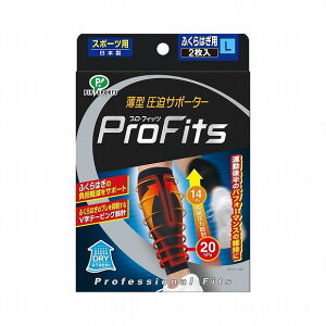 ~JT MIKASA vtBbc X|[cebNQC^[L ӂ͂ 2  T|[^[ tBbg {fBPA X|[cPA pi  ubNPS290 y񂹏iz(2406am)