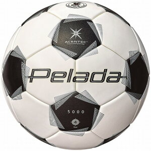 y2025Nfz e molten y[_5000LbY4 pelada 4 苅 TbJ[{[ w LbY WjA  Xm[zCgp[×^bNubN / F4K5000 y񂹏