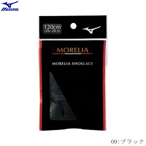 y1_̂݃[OKzMIZUNO@~Ym@A@V[[X@CR@p1gz200109@2010ck