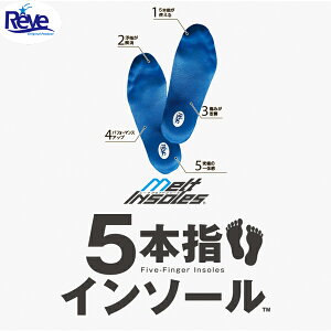 Reve@[u@5{wC\[@JX^C\[@`OȈE_t@O@@w@nCA[`@Ε@̔Y݉P@nވ芴@@RAVEMELTINSOLES