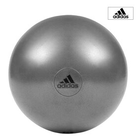 adidas アディダス ジムボール フィットネス エクササイズ グレー 65cm ADBL-11246【取り寄せ商品】【202106V】