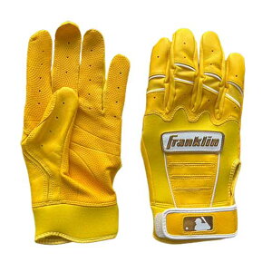 ynƍՊJÒzyyΉztN Franklin obeBOO[u p JX^ CFX PRO v I[_[ lp ʗp Y CG[ S M L CSTMCFX-TS1y202305VzySS2506zyC5Pz