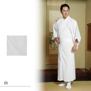 yzy{zE[p jp(SEMELELLE3L) a   jp Y lp