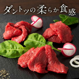 【極上の柔らかさ】熟成 馬ヒレ刺し 50g 1人前 一人前 希少部位の上品な赤身 馬刺 馬肉 生食 お肉 肉 グルメ ギフト 贈り物 プレゼント おつまみ 酒のつまみ 赤身 ヘルシー 熊本名物 真空パック 特産品 熊本 赤み 部位 熟成 桜肉 スライス販売 ギフト 高タンパク 低カロリー