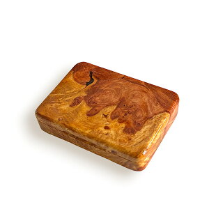 A[P[X ނ J ԗ ۖ ؐ  TCNtg IWi S nhCh ނ tBbVO AEghA