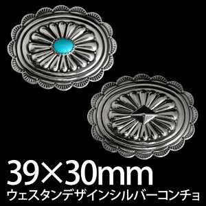 EFX^fUC Vo[R` CN100 CN100S 39mm×30mm X^[OVo[950 VJSXN[