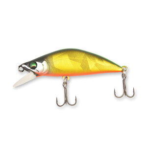 yBassdayz oXfC ̂̂ 45S A[ gEg ނ m lCeBugEg tBbVOc[ AEghA