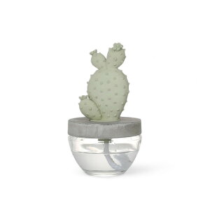 yDULTONz _g JN^X tOX fBt[U[ T{e A} tOX CeA G CACTUS FRAGRANCE DIFFUSER A ELEGANT PEONY