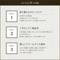 置き畳アースカラーの特徴