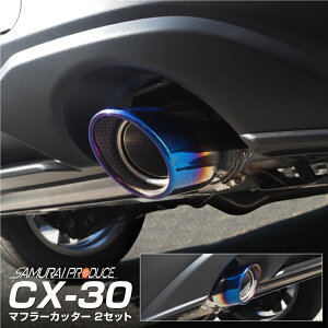 CX-30 }t[Jb^[ `^ XbVJbg VO^Cv 2{Zbg toht JX^ p[c hXAbv ANZT[ IvV O J[pi ЊO