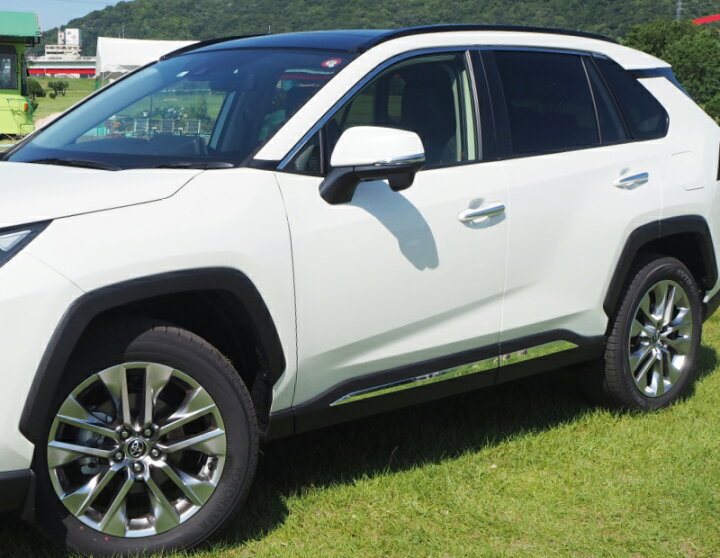 楽天市場】RAV4 50系 サイドガーニッシュ 左右セット 4P 鏡面仕上げ 