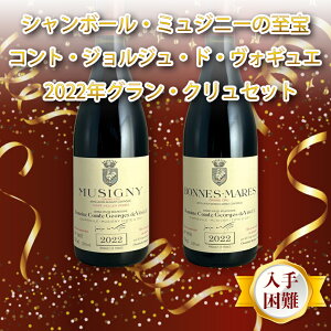 �y�S�iP5�{���}���\������z�V�����{�[���E�~���W�j�[�̎���A�R���g�E�W�����W���E�h�E���H�M���G2022�N�O�����E�N�����Z�b�g �u���S�[�j�� �~���W�j�[ �{���k�}�[�� �ԃ��C�� ���ݔ�� 