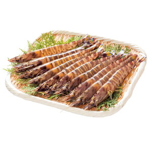 y XY ԊCViTCYj300gziYn 3394 퉷yzj1)iƂ̓słB2)͂wsB3)͂oȂn悪܂Biڂ͉摜mF