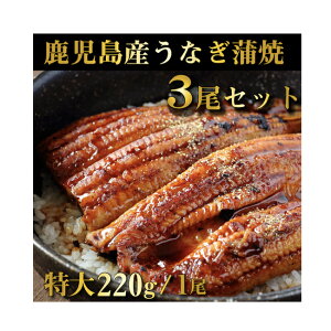 YV L 3Zbg 1220gO YȂ ̓