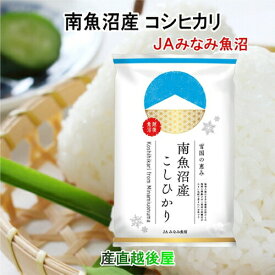 令和5年産 南魚沼産 コシヒカリ 30kg 新潟県 南魚沼 JAみなみ魚沼農協 特A地区 雪国の恵み 送料無料【お米 こしひかり ギフト グルメ】