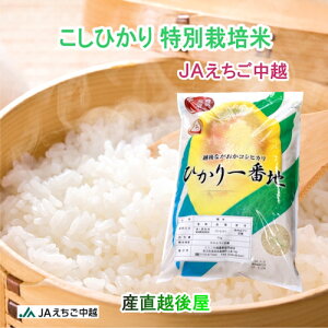 令和7年産 新米 コシヒカリ 新潟産 新潟県 JAえちご中越農協 新潟県産 特別栽培米 コシヒカリ 10kg 送料無料【お米 ギフト グルメ】