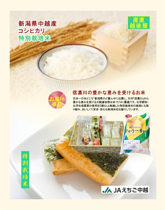 楽天市場】令和7年産 コシヒカリ 新潟産 新潟県 JAえちご中越農協 