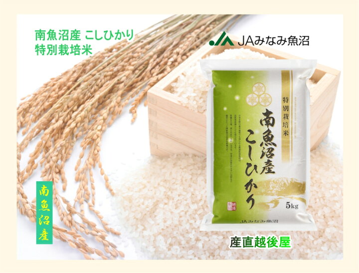 令和6年産 南魚沼産こしひかり 30kg 特別栽培米 魚沼産 減農薬 精米 新米 