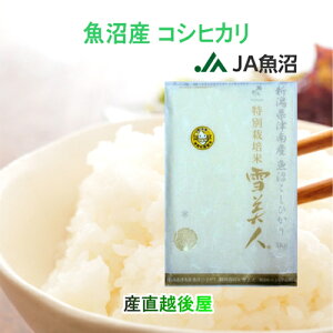 ߘa7NY V Ђ Y V An  JA_ Y RVqJ 10kg  l ʍ͔| y Mtg Oz