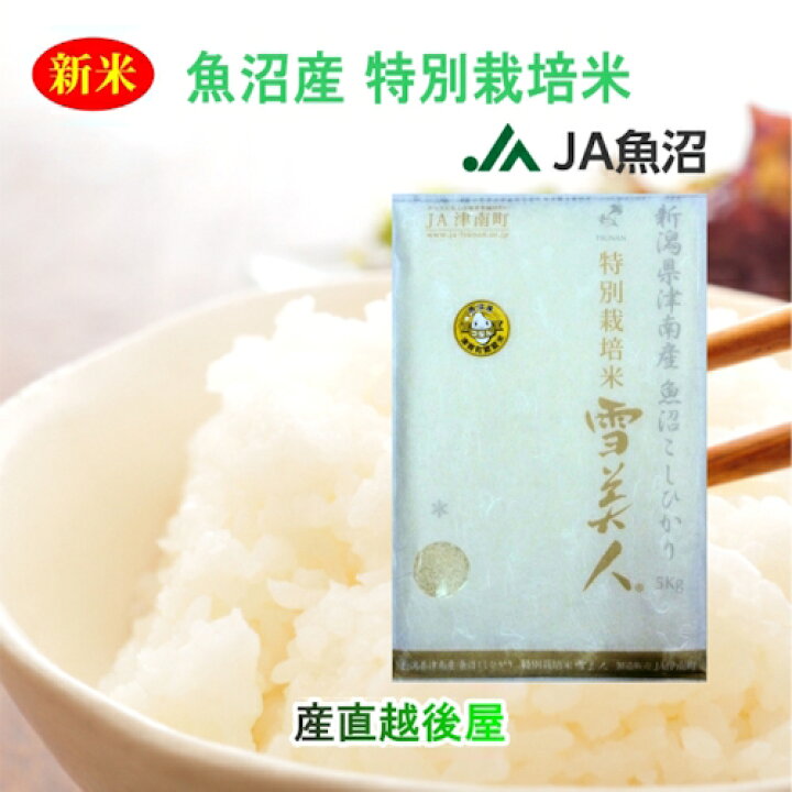 楽天市場】令和7年産 こしひかり 魚沼産 新潟県 特A地区 中魚沼 JA 
